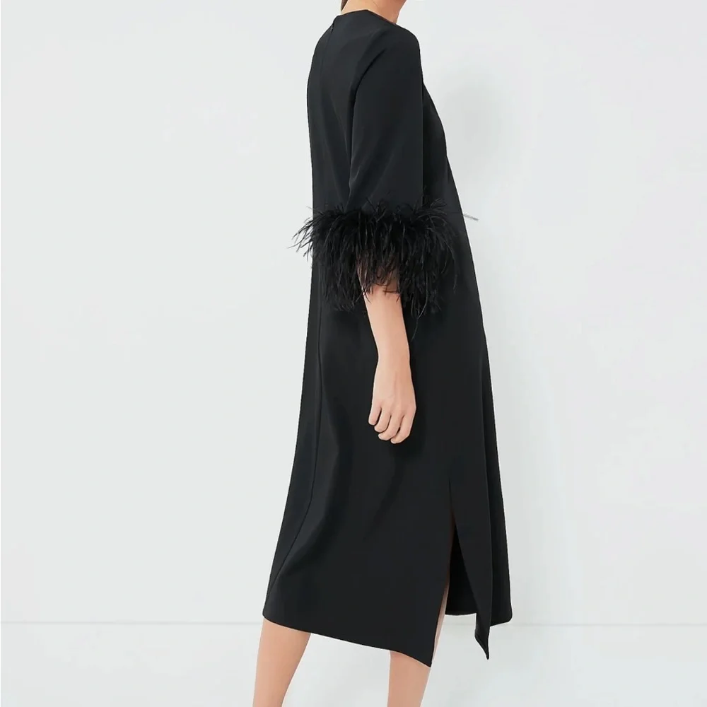 Black Feather Jamie Dress
TUCKERNUCK - Picture 4 of 11